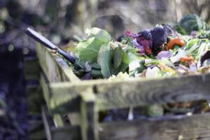garden-4725522_1280