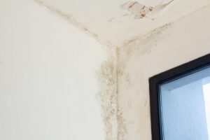 Umidità di risalita 2